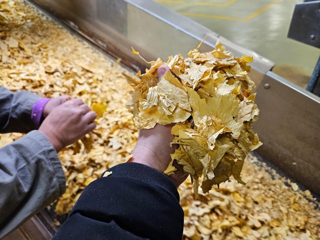 Processing Partnerships - Tabac Enterprises